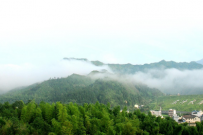“抹茶全產業(yè)鏈關鍵技術與裝備創(chuàng)新及應用”項目科技成果評價會召開